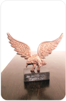Award 7